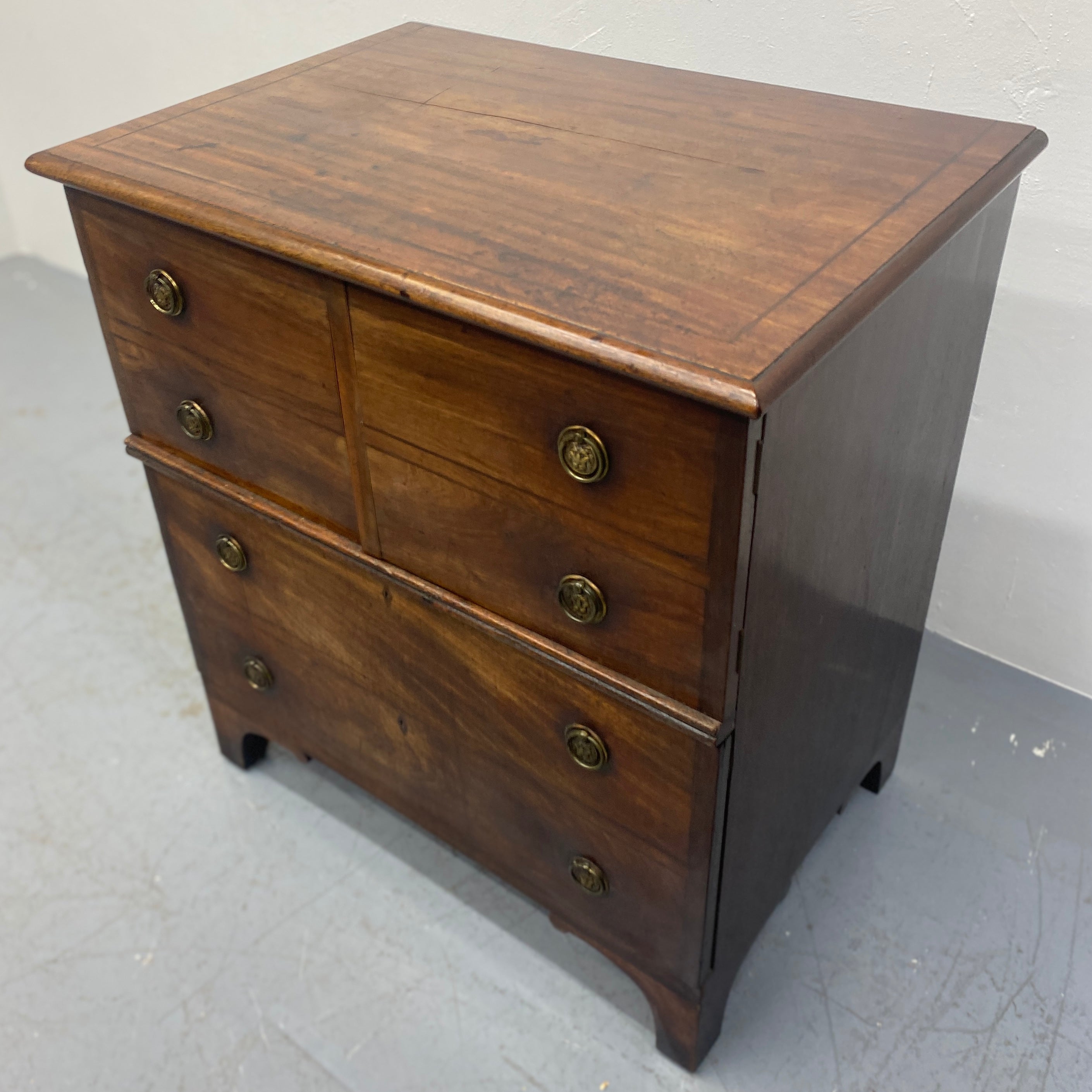 Lion Handles Mahogany Pot Cupboard