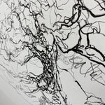 Load image into Gallery viewer, tree abstract Oak Tree Original Canvas Dale Kerrigan
