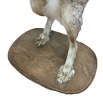 Load image into Gallery viewer, A dog standing on an oval wooden platform against a plain white background.
