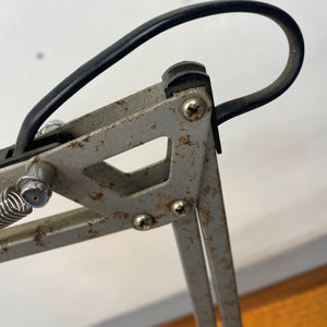 Anglepoise Desk Lamp Racing Green
