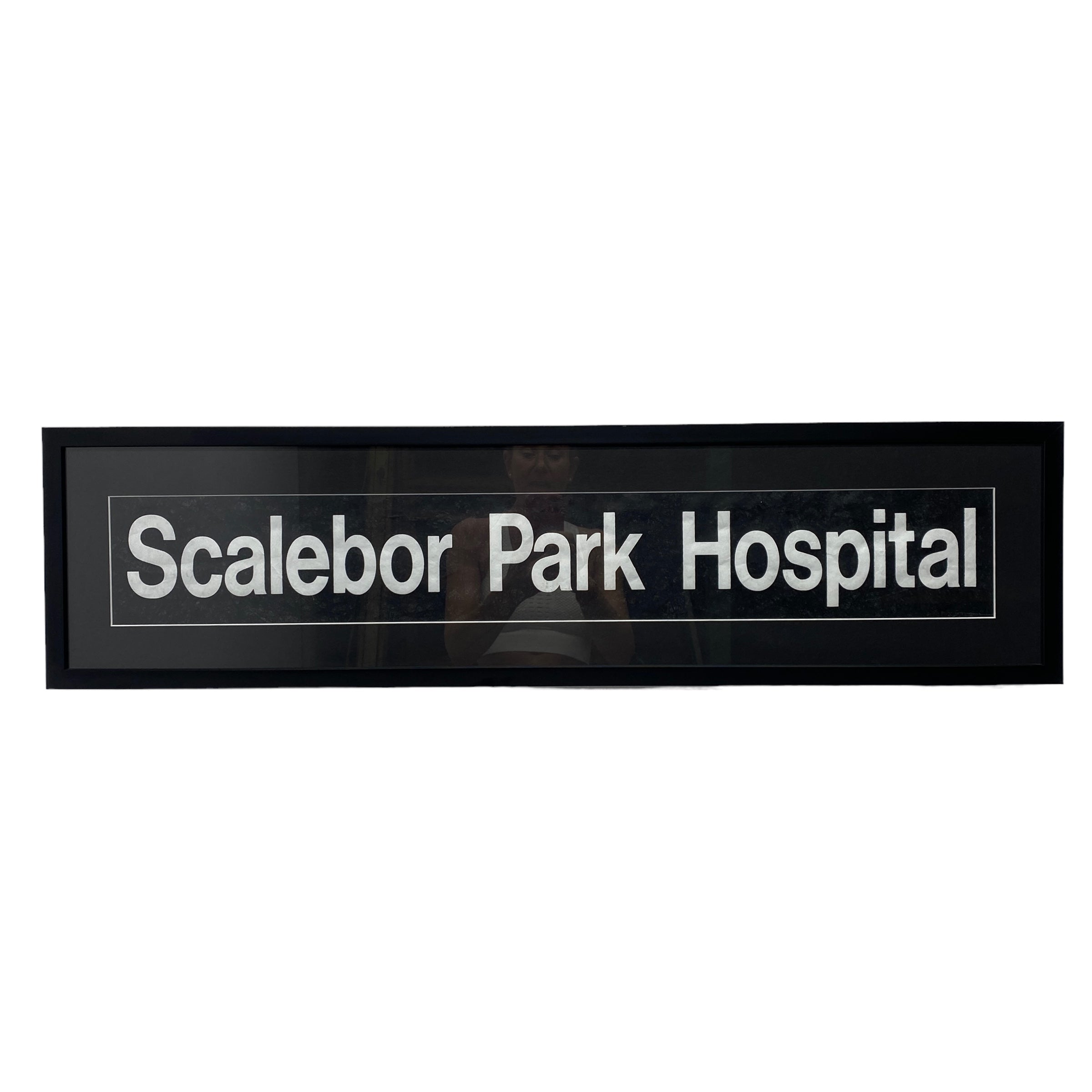 Bus Blind Scalebor Park Hospital Artwork