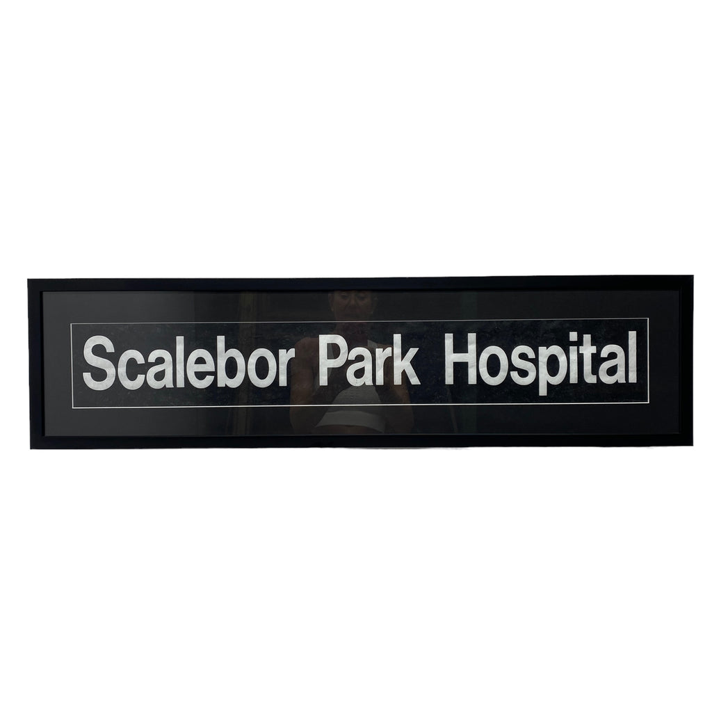 Bus Blind Scalebor Park Hospital Artwork