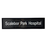 Load image into Gallery viewer, Bus Blind Scalebor Park Hospital Artwork
