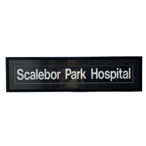 Bus Blind Scalebor Park Hospital Artwork