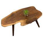 Load image into Gallery viewer, Live Edge Coffee Table Walnut
