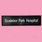 Load image into Gallery viewer, Bus Blind Scalebor Park Hospital Artwork
