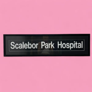 Bus Blind Scalebor Park Hospital Artwork