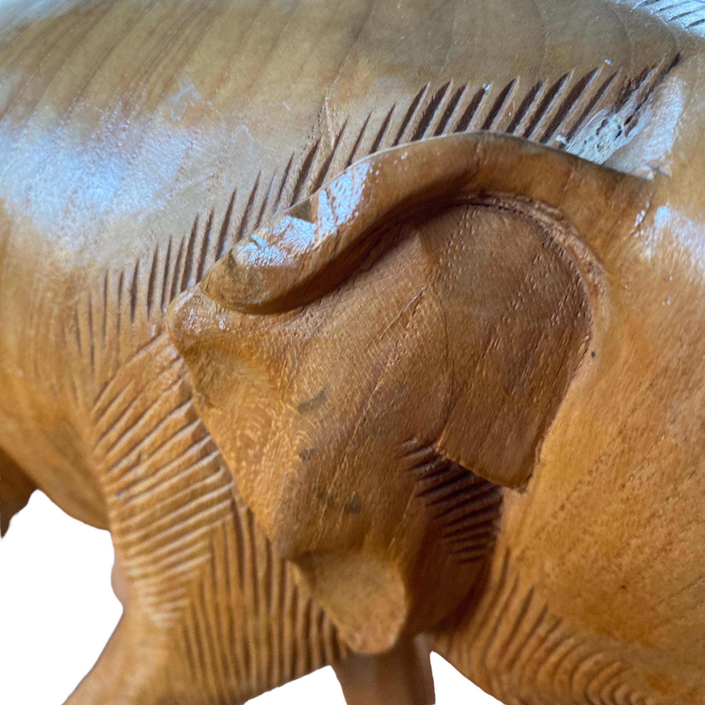 Ear Of Elephant Sculpture Teak