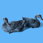 Load image into Gallery viewer, Resin Ducks 
