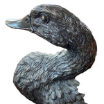 Load image into Gallery viewer, Ducks Beak
