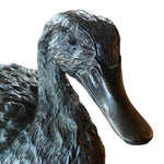 Load image into Gallery viewer, Beak Resin Ducks 
