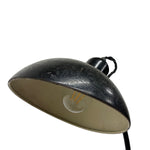 Load image into Gallery viewer, Lamp Head Kaiser Idell Desk Lamp Model 6556
