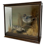 Load image into Gallery viewer, Two Teal Birds Natural Habitat
