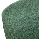 Load image into Gallery viewer, Close-up of a green textured object on a white background

