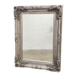 Load image into Gallery viewer, ornate decorative mirror
