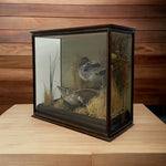 Load image into Gallery viewer, ON A TABLE Teal Bird Taxidermy Glass Oak Case Natural History
