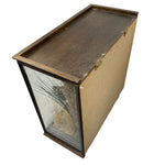 Load image into Gallery viewer, oak case Teal Bird Taxidermy Glass Oak Case Natural History Back
