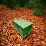 Load image into Gallery viewer, CHEST IN THE FOREST
