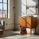 Load image into Gallery viewer, vinyl storage cabinet in a loft apartment
