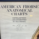 Load image into Gallery viewer, Medical Chart Huge Framed
