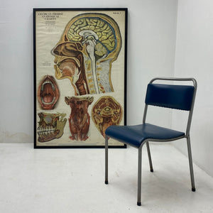 Medical Chart Huge Framed