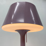 Load image into Gallery viewer, Head Of Dub Luce Outdoor Lamp Lilac
