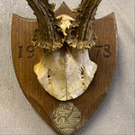 Load image into Gallery viewer, Deer horns plaque
