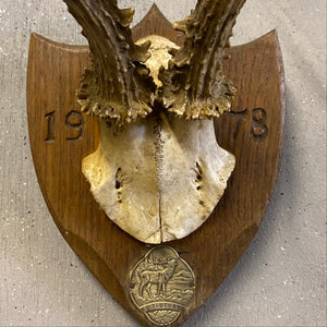 Deer horns plaque