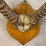 Load image into Gallery viewer, Vintage horns
