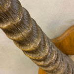 Load image into Gallery viewer, Springbok horns
