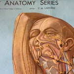 Load image into Gallery viewer, Anatomy Series PM Lariviere
