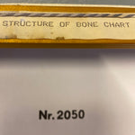 Load image into Gallery viewer, Bone Structure Chart

