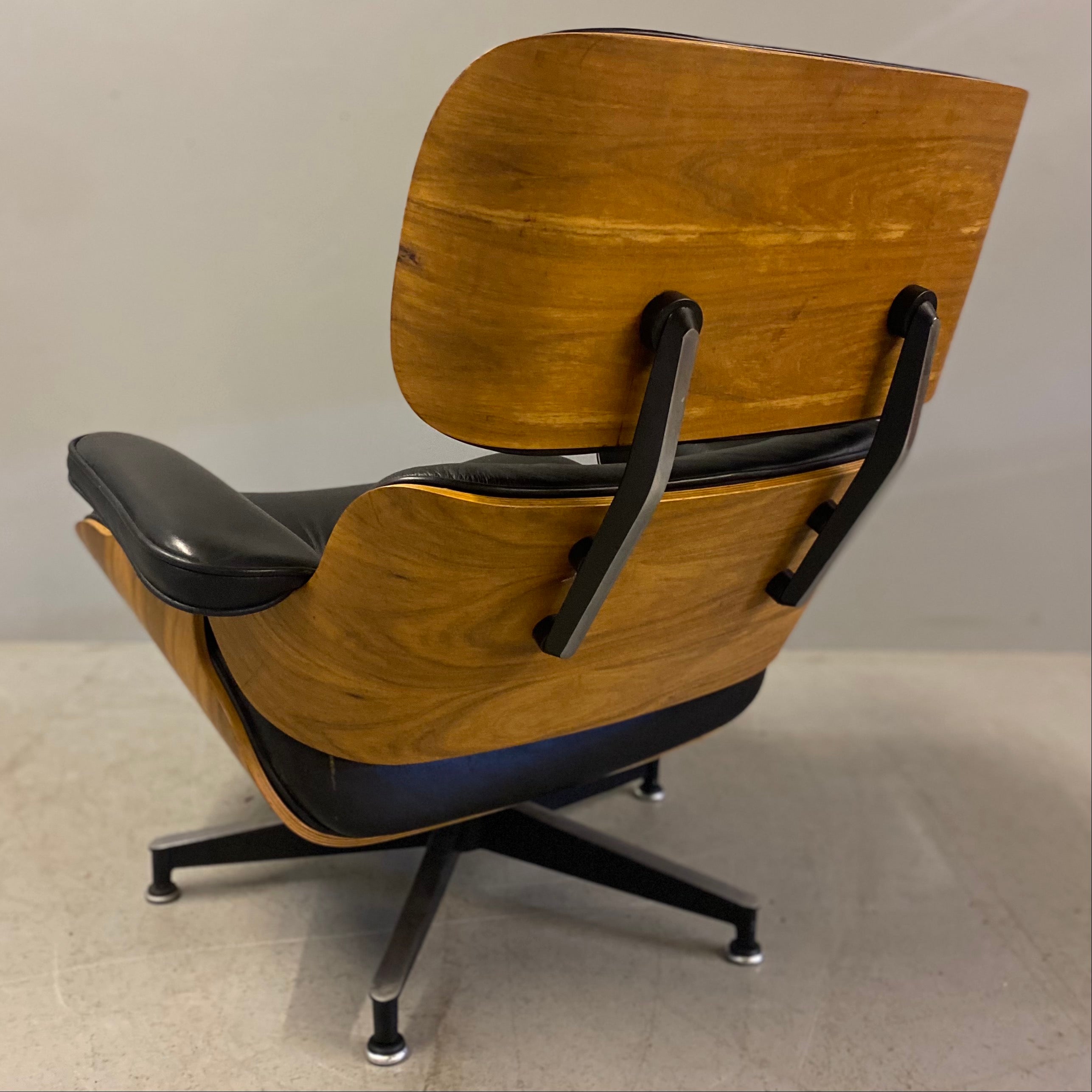 Walnut Eames Chair Shell