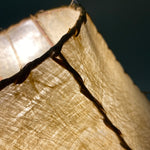 Load image into Gallery viewer, Waxed Midcentury Shade
